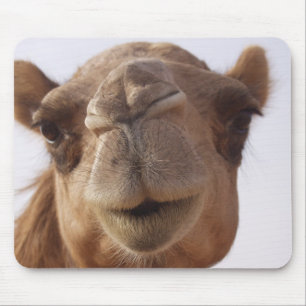 Mousepad Tapete do rato do camelo