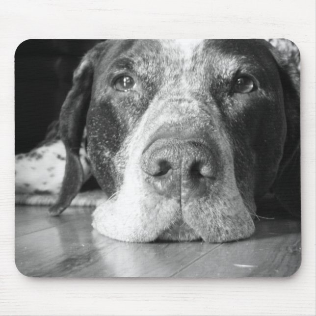 Mousepad Tapete do rato do cão (Frente)