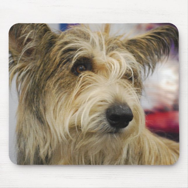 Mousepad Tapete do rato do cão de Berger Picard (Frente)