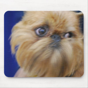 Mousepad Tapete do rato do cão de Bruxelas Griffon