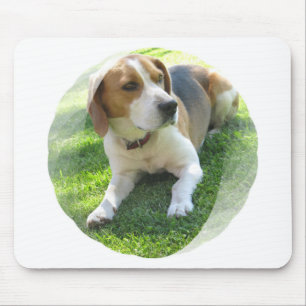 Mousepad Tapete do rato do cão de cão do lebreiro