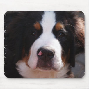 Mousepad Tapete do rato do cão de montanha de Bernese