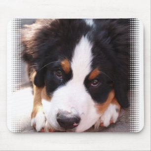 Mousepad Tapete do rato do cão de montanha de Bernese