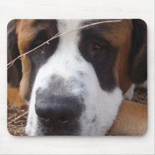 Mousepad Tapete do rato do cão de St Bernard