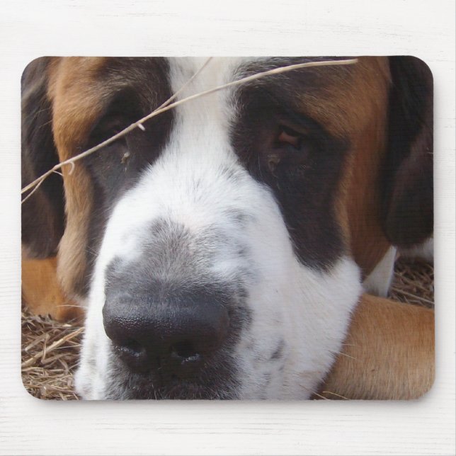 Mousepad Tapete do rato do cão de St Bernard (Frente)
