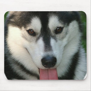 Mousepad Tapete do rato do cão de trenó