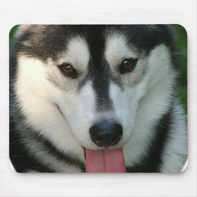 Mousepad Tapete do rato do cão de trenó (Frente)