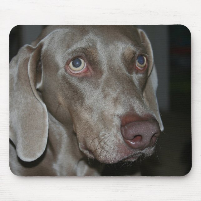 Mousepad Tapete do rato do cão de Weimaraner (Frente)