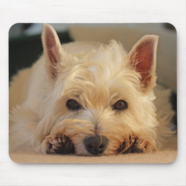 Mousepad Tapete do rato do cão de Westie/esteira bonitos do (Frente)