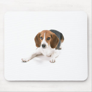 Mousepad Tapete do rato do cão do lebreiro