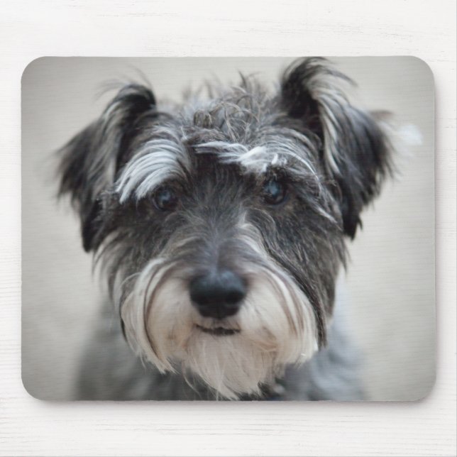 Mousepad Tapete do rato do cão do Schnauzer (Frente)