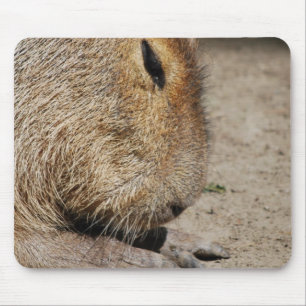 Mousepad Tapete do rato do Capybara