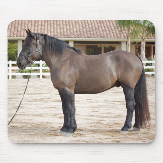 Mousepad Tapete do rato do cavalo de esboço (Frente)