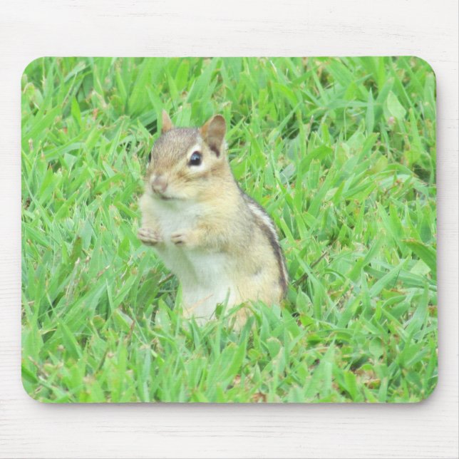 Mousepad Tapete do rato do Chipmunk (Frente)