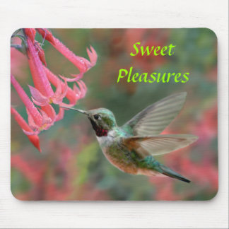 Mousepad Tapete do rato do colibri
