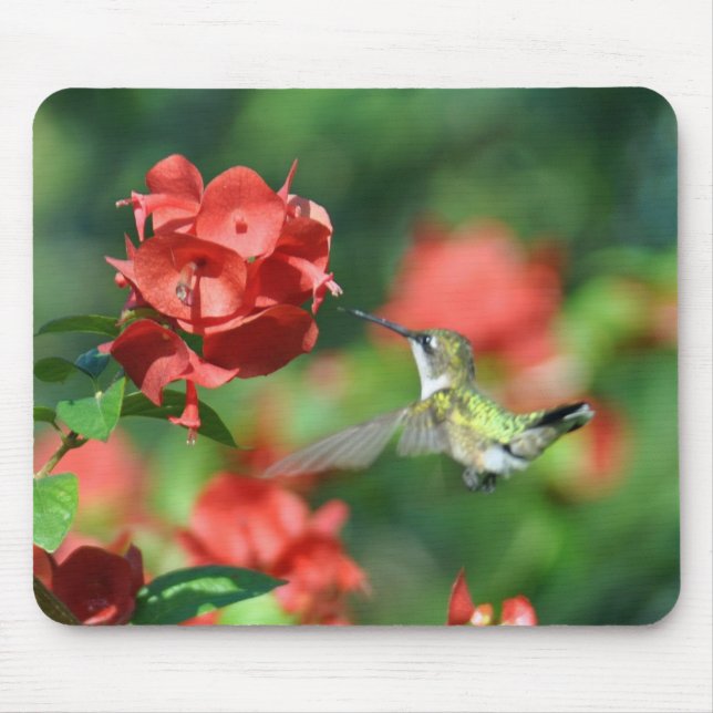 Mousepad Tapete do rato do colibri (Frente)