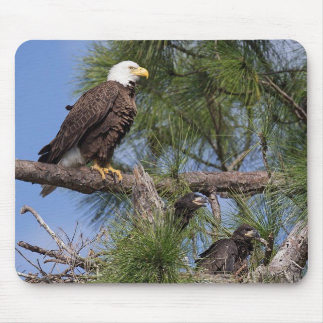 Mousepad Tapete do rato do computador E10 & E11 (Frente)