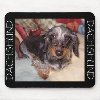 Mousepad Tapete do rato do Dachshund do cabelo do fio