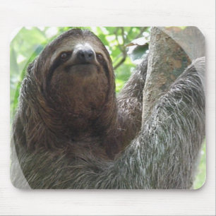 Mousepad Tapete do rato do design da foto da preguiça