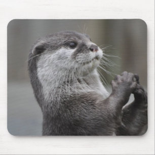 Mousepad Tapete do rato do espírito superior da lontra