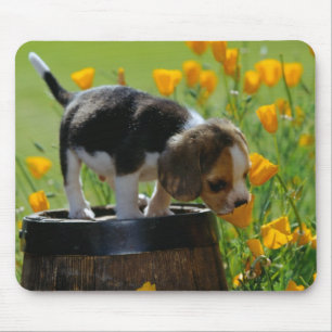 Mousepad tapete do rato do filhote de cachorro