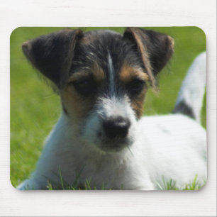 Mousepad Tapete do rato do filhote de cachorro de Jack