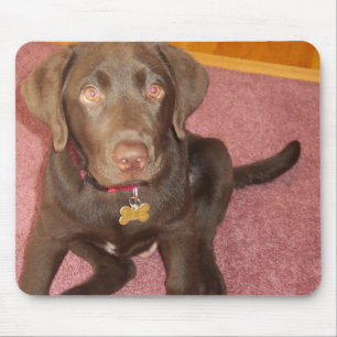 Mousepad Tapete do rato do filhote de cachorro de Labrador