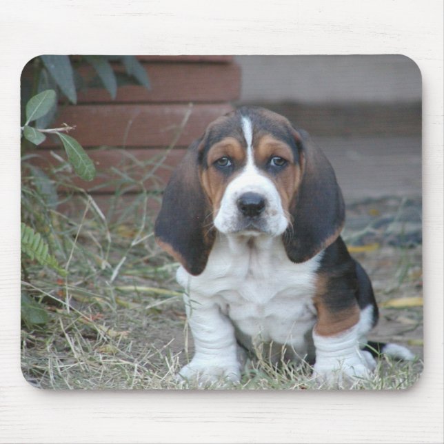 Mousepad Tapete do rato do filhote de cachorro do Basset (Frente)