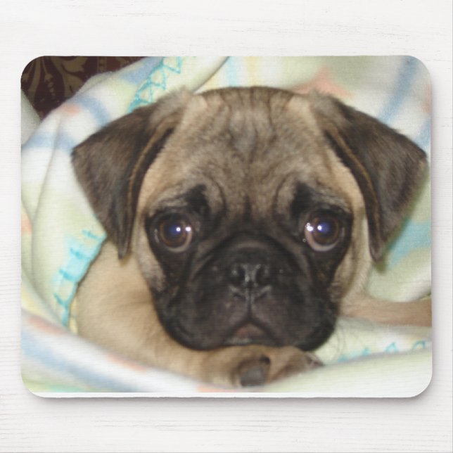 Mousepad Tapete do rato do filhote de cachorro do Pug (Frente)