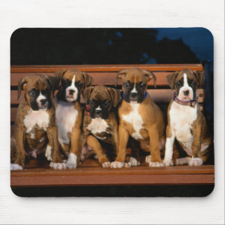 Mousepad tapete do rato do filhote de cachorro do pugilista