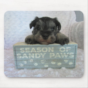 Mousepad Tapete do rato do filhote de cachorro do Schnauzer