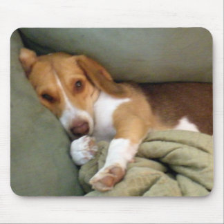 Mousepad Tapete do rato do filhote de cachorro do Snuggle