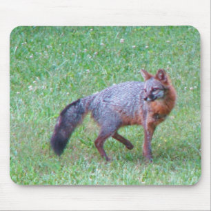 Mousepad Tapete do rato do Fox cinzento do PA
