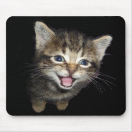 Mousepad Tapete do rato do gatinho do gato malhado