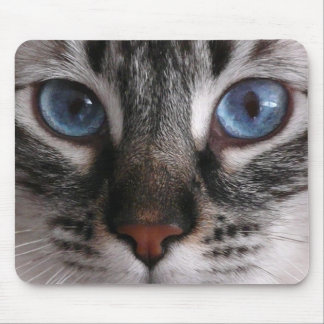 Mousepad "Tapete do rato do gatinho dos olhos azuis