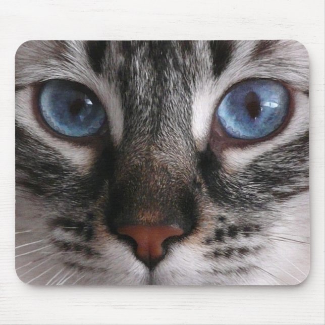 Mousepad "Tapete do rato do gatinho dos olhos azuis (Frente)