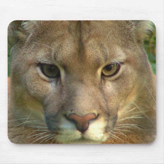 Mousepad Tapete do rato do gato da montanha do puma (Frente)