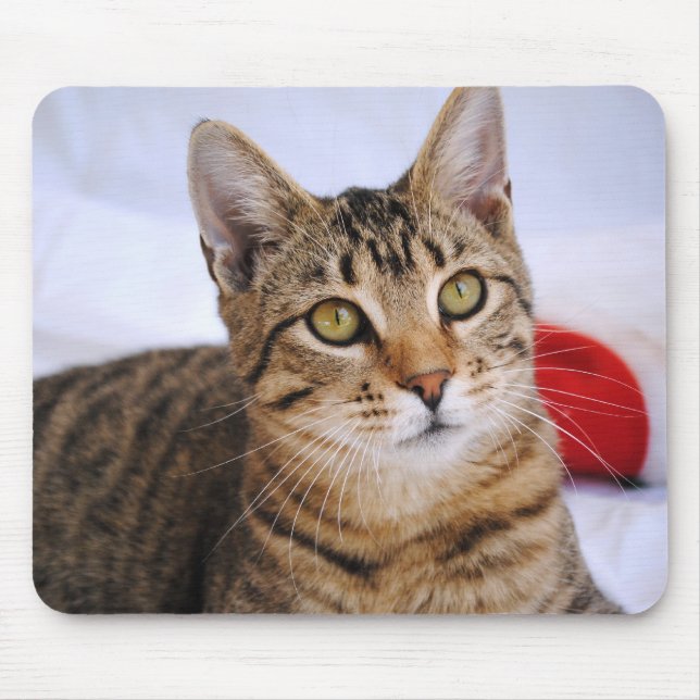 Mousepad Tapete do rato do gato de gato malhado (Frente)
