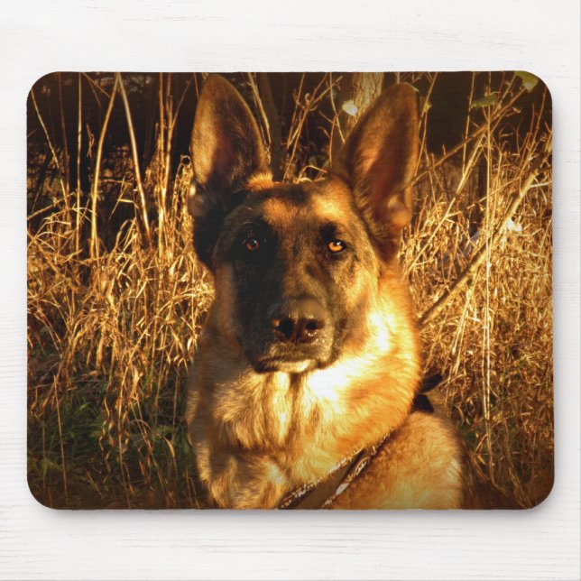 Mousepad Tapete do rato do german shepherd (Frente)