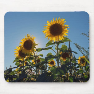 Mousepad Tapete do rato do girassol