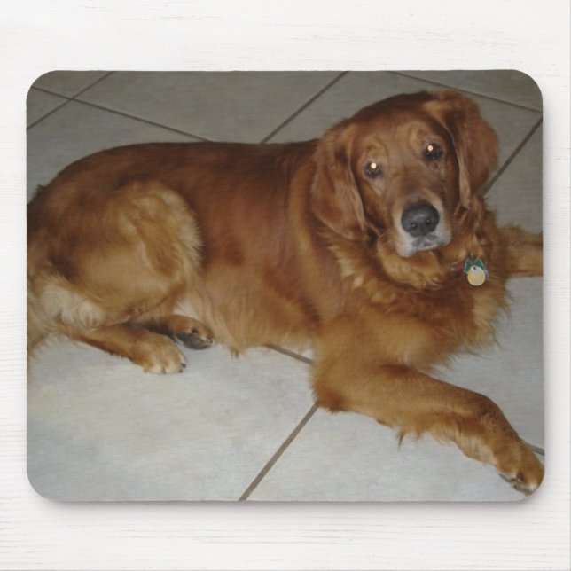Mousepad Tapete do rato do golden retriever (Frente)