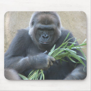 Mousepad Tapete do rato do gorila do Silverback