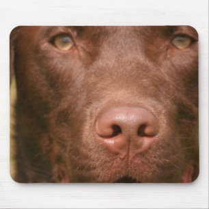 Mousepad Tapete do rato do laboratório do chocolate
