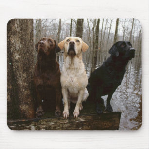 Mousepad tapete do rato do labrado
