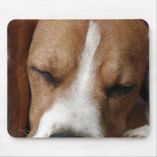 Mousepad Tapete do rato do lebreiro do sono