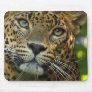 Mousepad Tapete do rato do leopardo
