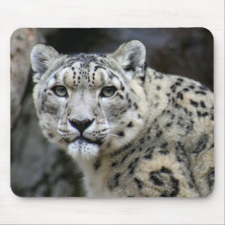 Mousepad Tapete do rato do leopardo de neve