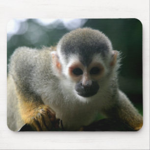 Mousepad Tapete do rato do macaco de aranha