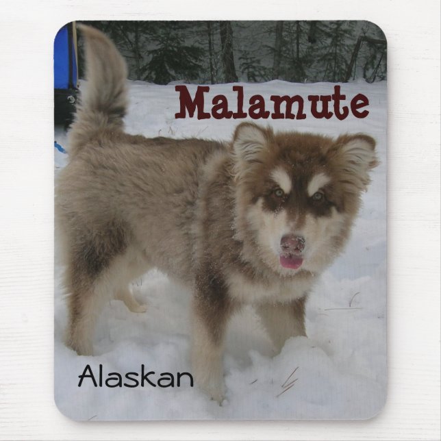 Mousepad Tapete do rato do Malamute do Alasca (Frente)