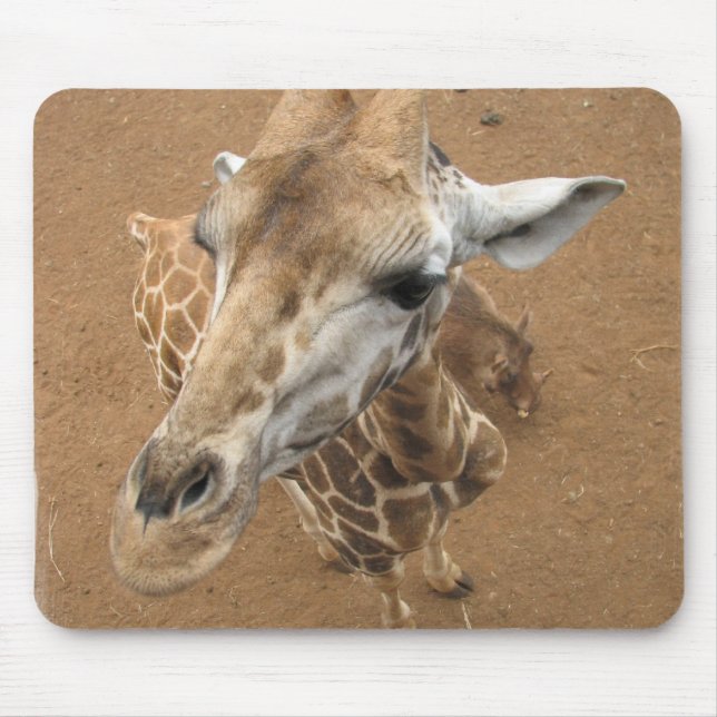 Mousepad Tapete do rato do olhar do girafa (Frente)